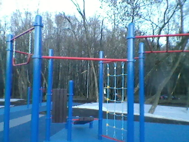 Шведська стінка на майданчику Calisthenics Park at Большая Академическая улица, Москва #wp1431 – фото 4 з 7
