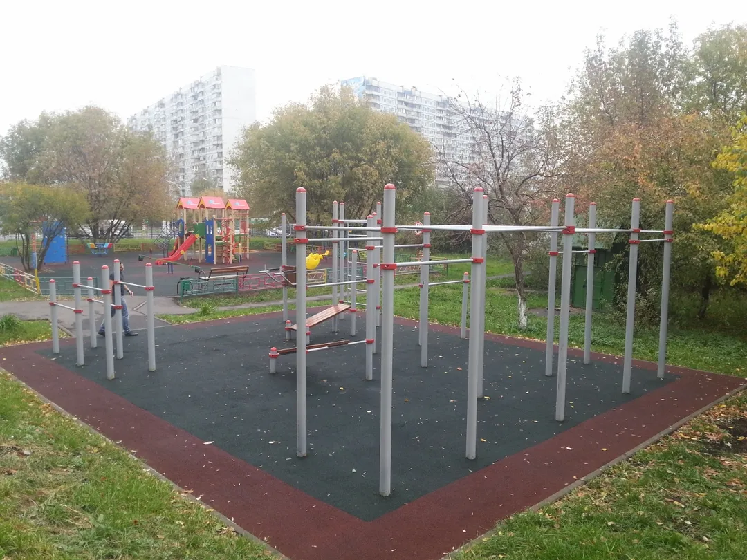 Рукохід на майданчику Calisthenics Park at улица Хачатуряна, Москва – фото 3 з 4