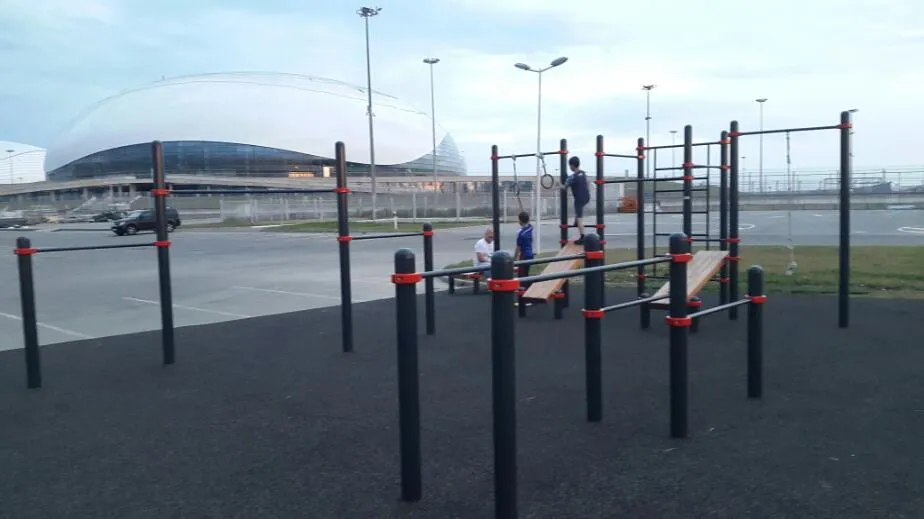 Monkey Bars at Calisthenics Park at "Академия единоборств", Сириус – photo 3 of 4