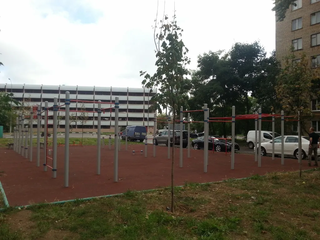 Barras de Mono en Calisthenics Park at Международная улица, Москва – foto 3 de 4