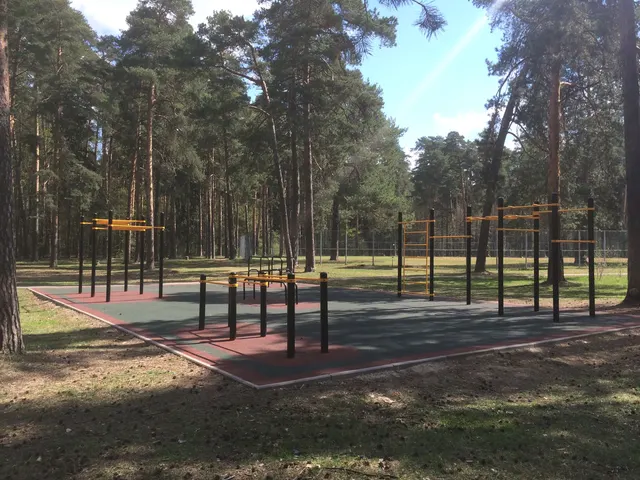 Calisthenics Park at улица Туполева, Жуковский