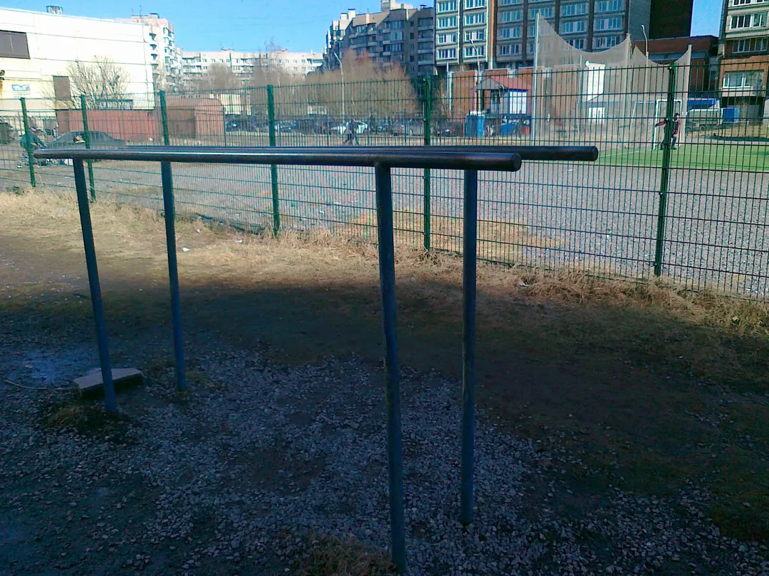 Monkey Bars at Calisthenics Park at Боцманская улица, Санкт-Петербург – photo 3 of 7