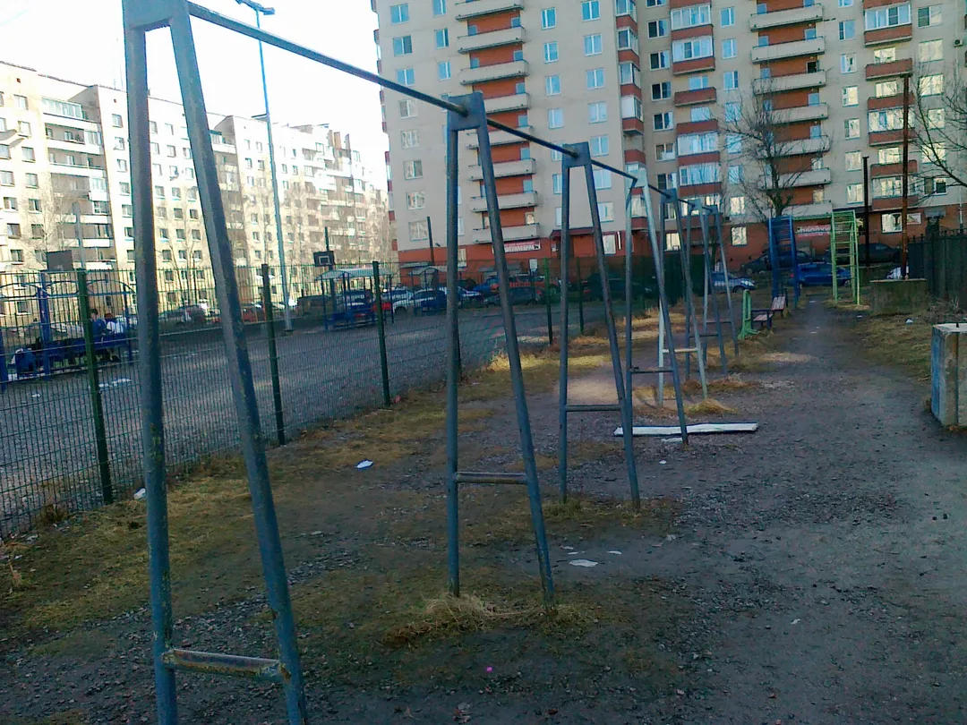 Wall Bars at Calisthenics Park at Боцманская улица, Санкт-Петербург – photo 5 of 7
