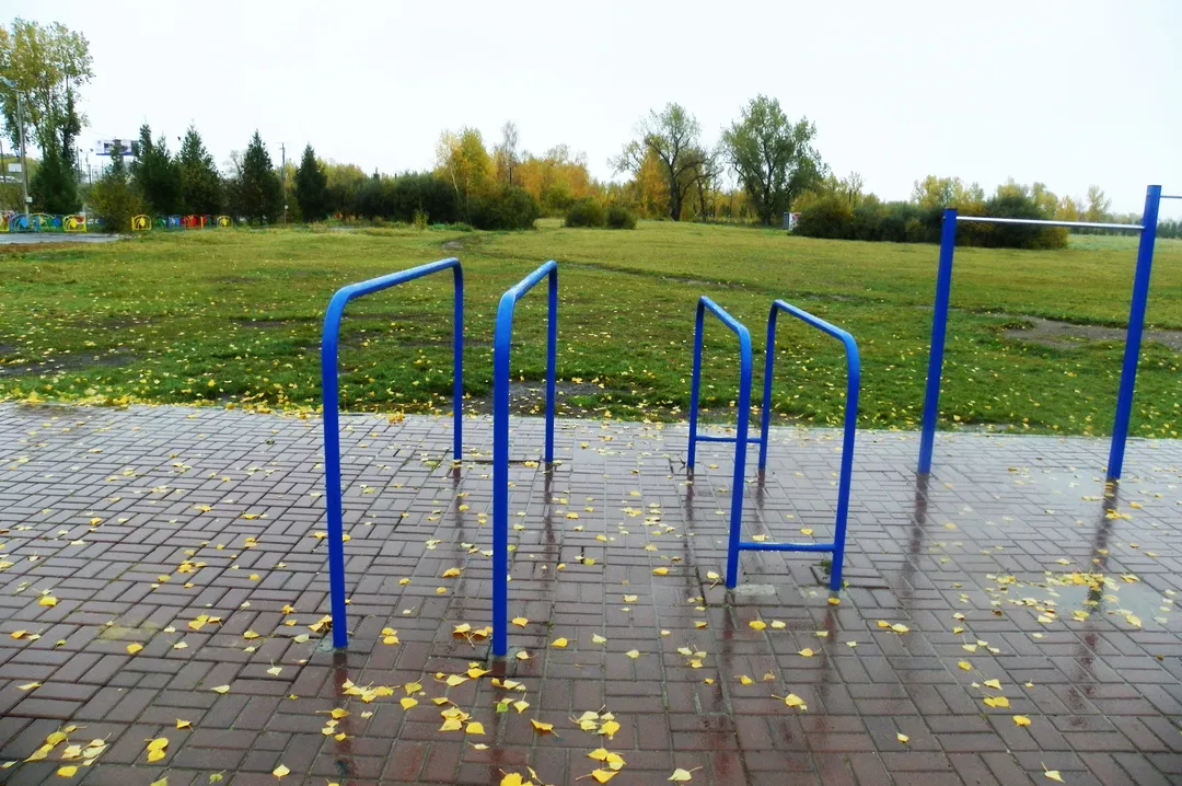 Бруси на майданчику Calisthenics Park at Октябрьский мост, Красноярск – фото 2 з 3