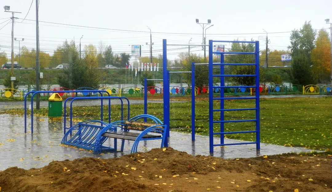 Турнік на майданчику Calisthenics Park at Октябрьский мост, Красноярск – фото 1 з 3