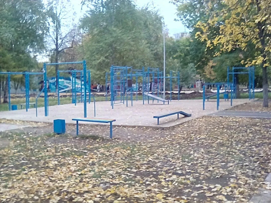 Barre de traction à Calisthenics Park at улица Ленина, Уфа – photo 1 sur 2