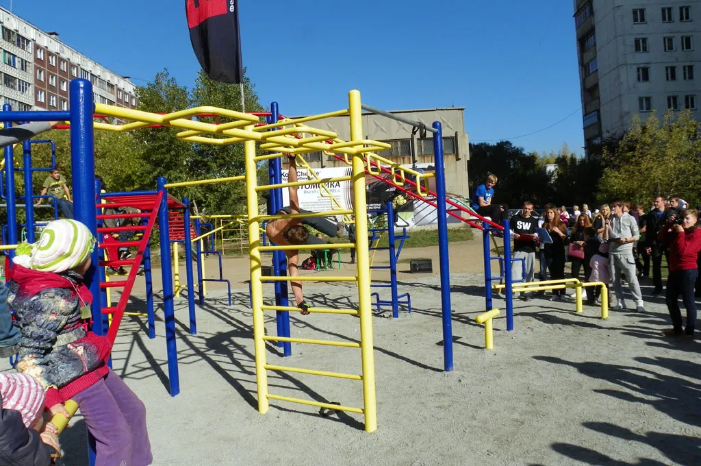 Wall Bars at Calisthenics Park at улица Салтыкова-Щедрина, городской округ Новосибирск – photo 4 of 4