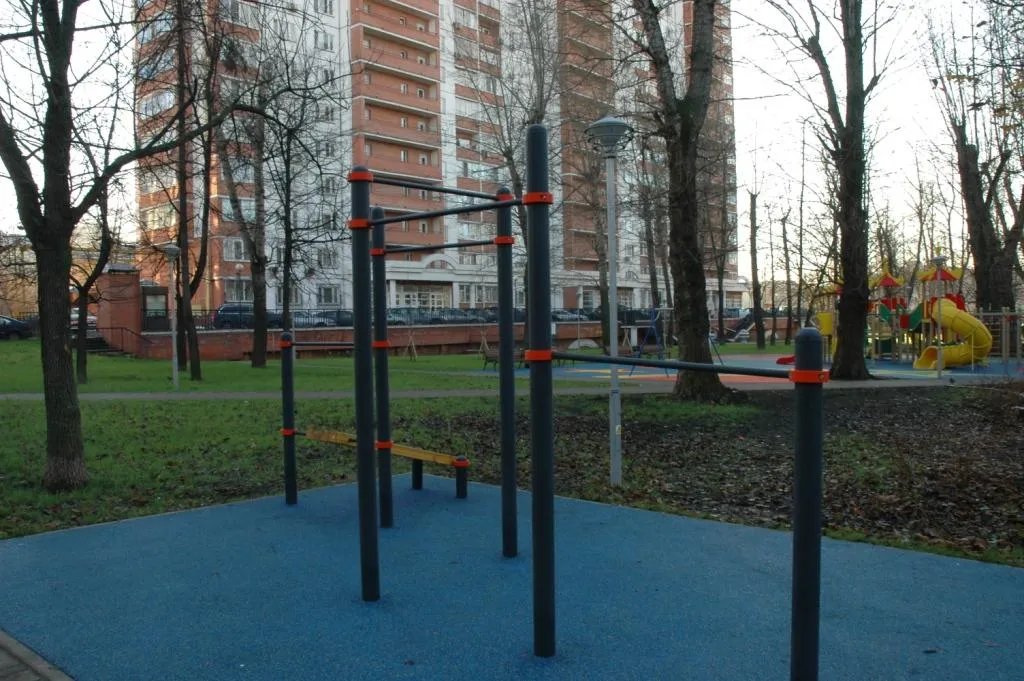 Bară de flotări la Calisthenics Park at улица Долгова, Москва – fotografia 5 din 7