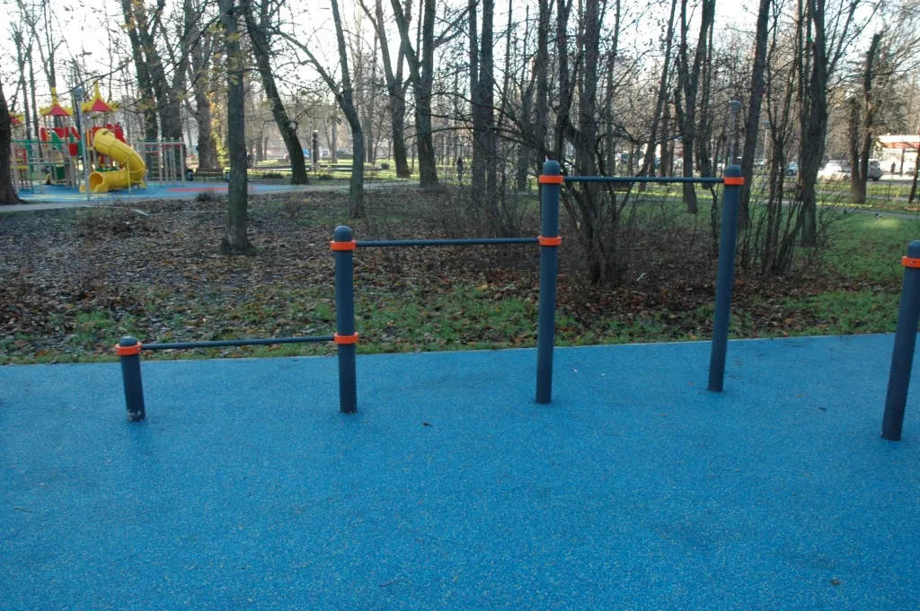 Bară de tracțiuni la Calisthenics Park at улица Долгова, Москва – fotografia 7 din 7