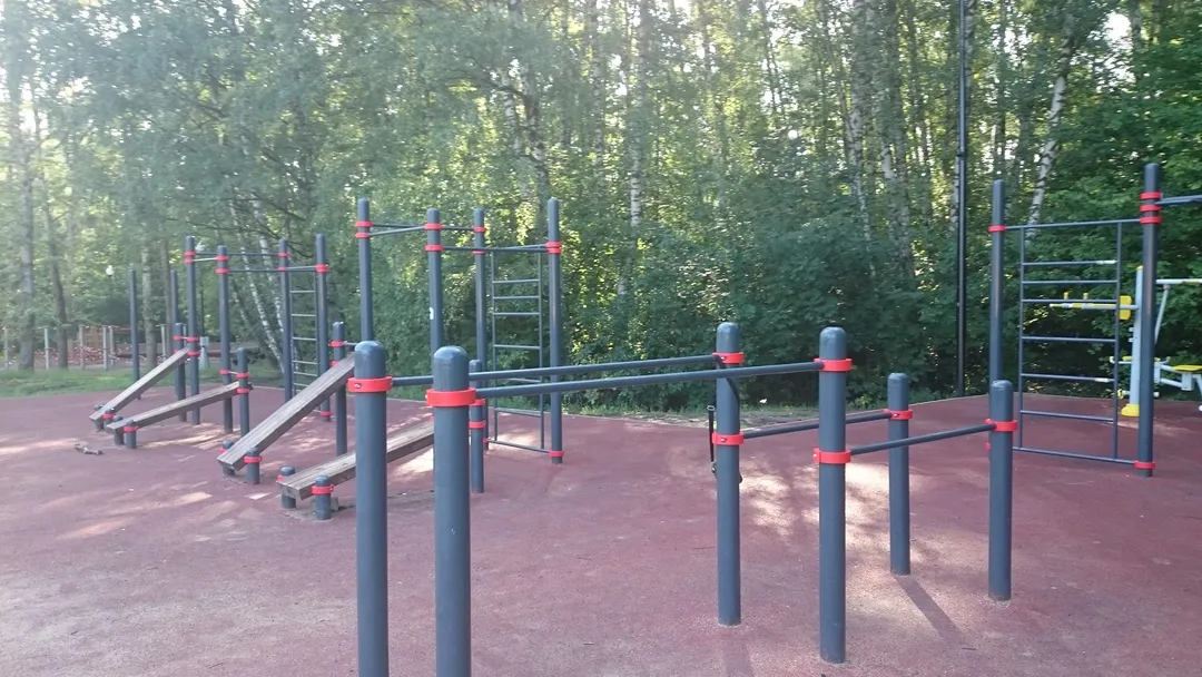 Bare paralele la Calisthenics Park at улица Академика Виноградова, Москва – fotografia 2 din 3
