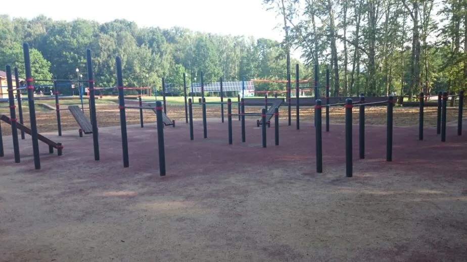 Bară de tracțiuni la Calisthenics Park at улица Академика Виноградова, Москва – fotografia 1 din 3