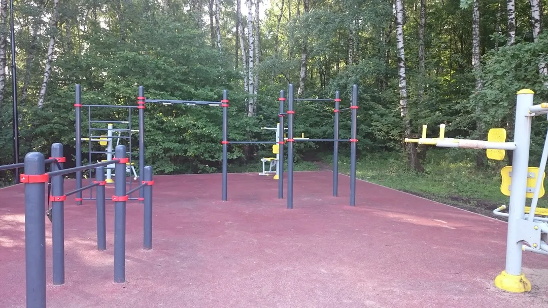 Monkey Bars la Calisthenics Park at улица Академика Виноградова, Москва – fotografia 3 din 3