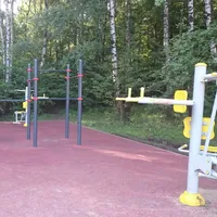 Calisthenics Park at улица Академика Виноградова, Москва - thumbnail 3