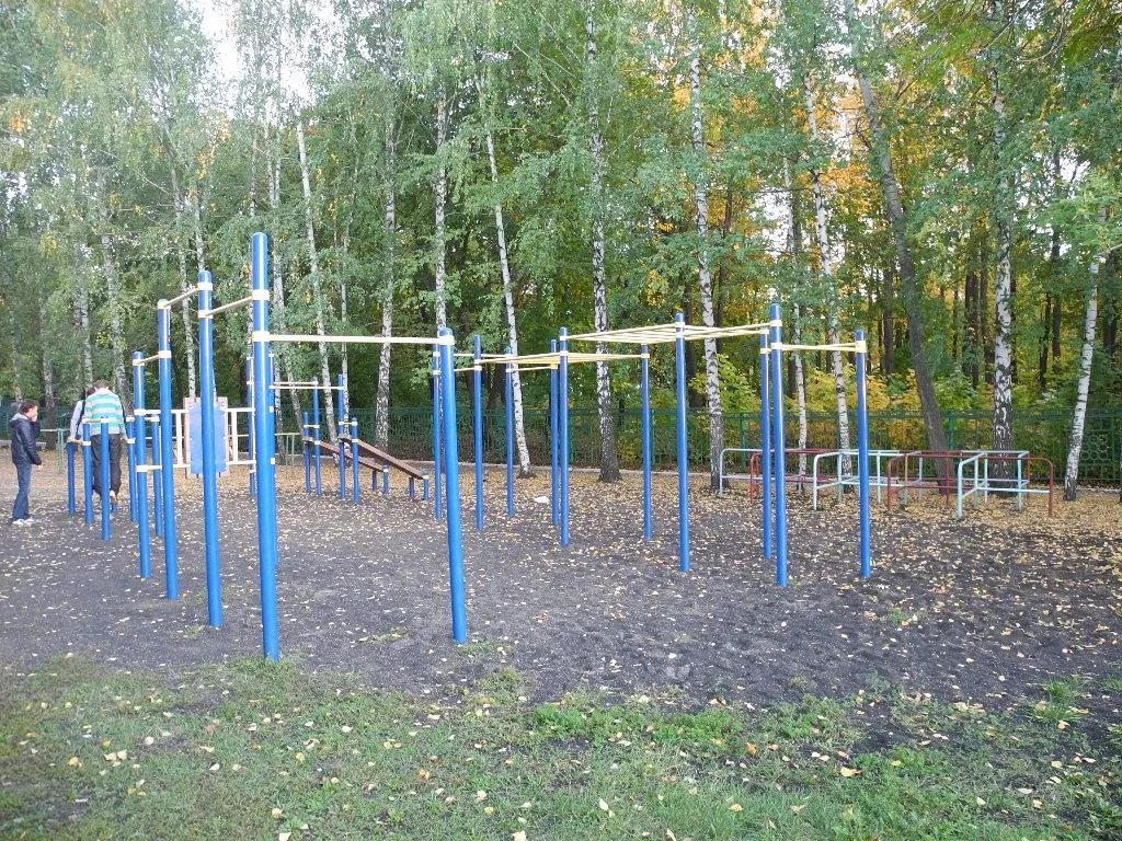 Barres parallèles à Calisthenics Park at улица Менделеева, Уфа – photo 2 sur 2