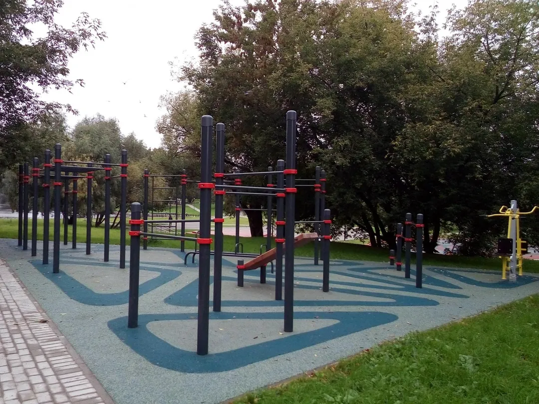 Bare paralele la Calisthenics Park at Сколковское шоссе, Москва – fotografia 2 din 2