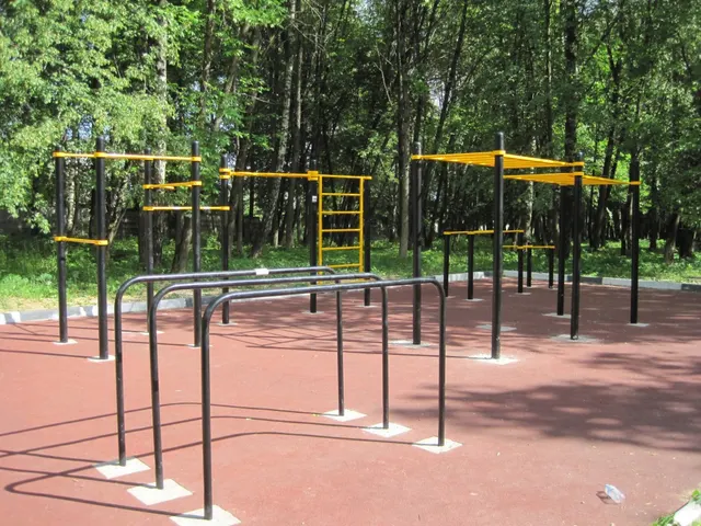 Calisthenics Park at 46Н-10554, Сергиев Посад