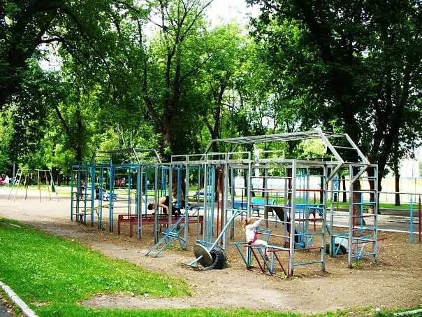 Турнік на майданчику Calisthenics Park at проспект Будённого, Москва – фото 1 з 1