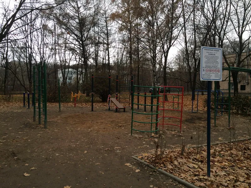 Bare paralele la Calisthenics Park at улица Дубки, Москва – fotografia 2 din 3