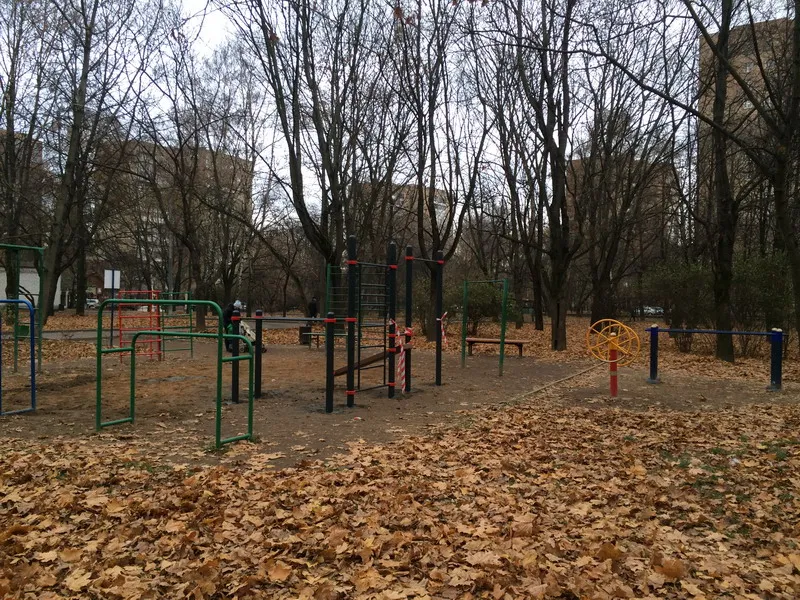 Spalier la Calisthenics Park at улица Дубки, Москва – fotografia 3 din 3