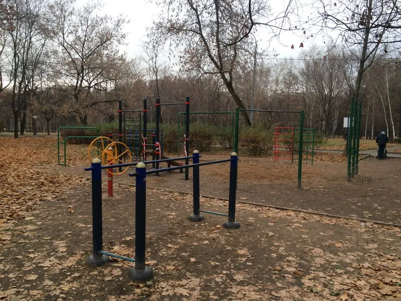 Bară de tracțiuni la Calisthenics Park at улица Дубки, Москва – fotografia 1 din 3