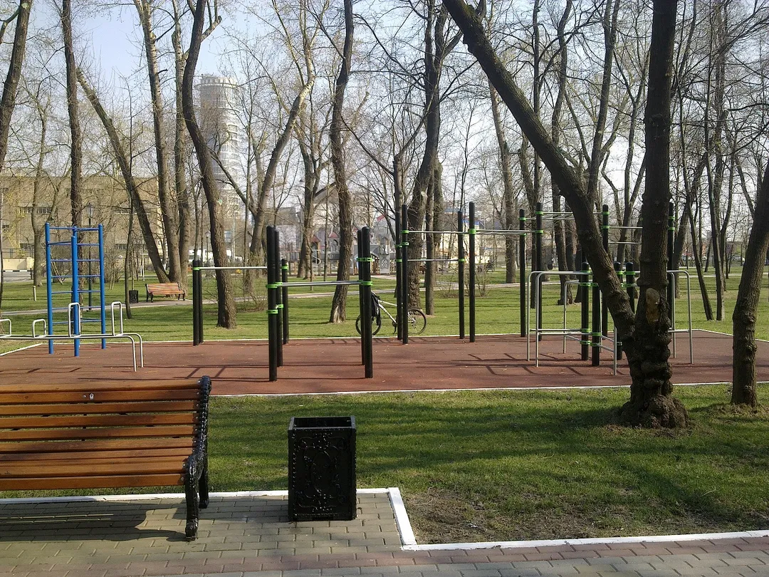 Barres parallèles à Calisthenics Park at 1-й Краснокурсантский проезд, Москва – photo 2 sur 2