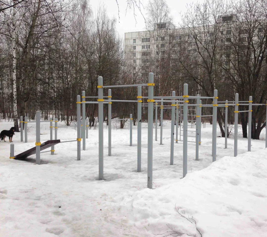 Турник на площадке Calisthenics Park at улица Красного Маяка, Москва – фото 1 из 1
