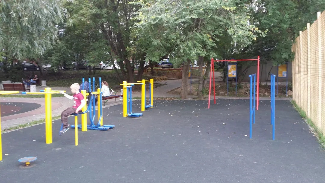 Barras Paralelas en Calisthenics Park at улица Удальцова, Москва – foto 2 de 2