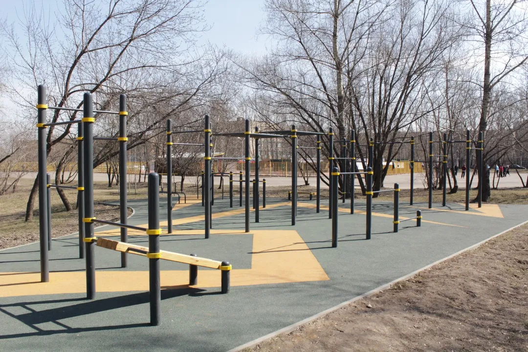 Maniglie per piegamenti presso Calisthenics Park at проспект Андропова, Москва – foto 5 di 14