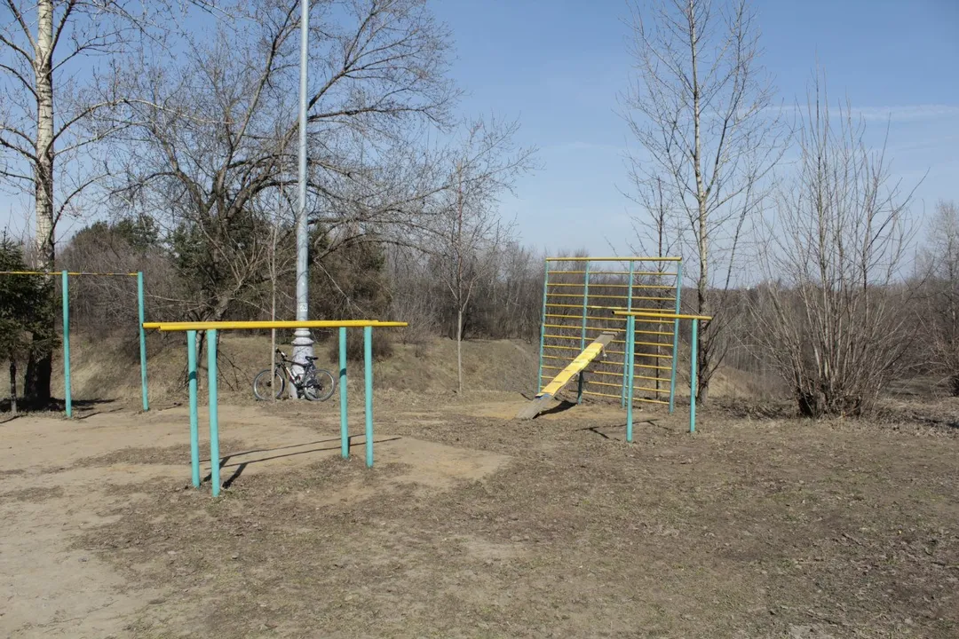 Sbarra per trazioni presso Calisthenics Park at проспект Андропова, Москва – foto 7 di 14