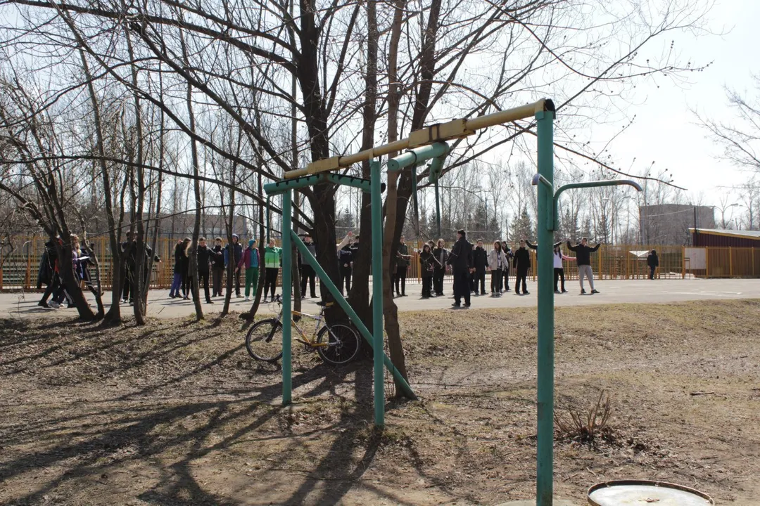 Parallele presso Calisthenics Park at проспект Андропова, Москва – foto 8 di 14