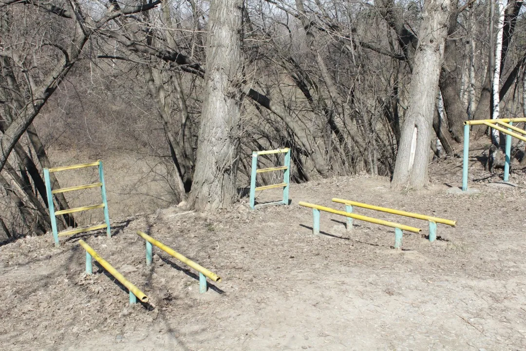 Spalliera presso Calisthenics Park at проспект Андропова, Москва – foto 10 di 14