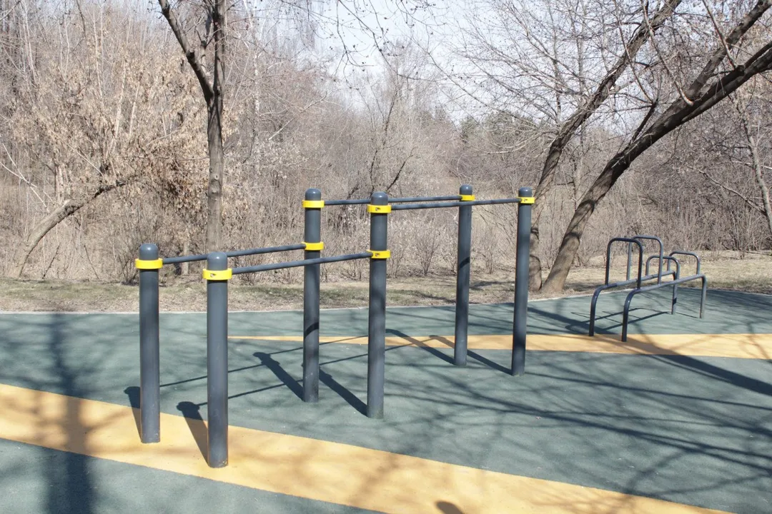 Sbarra per trazioni presso Calisthenics Park at проспект Андропова, Москва – foto 1 di 14