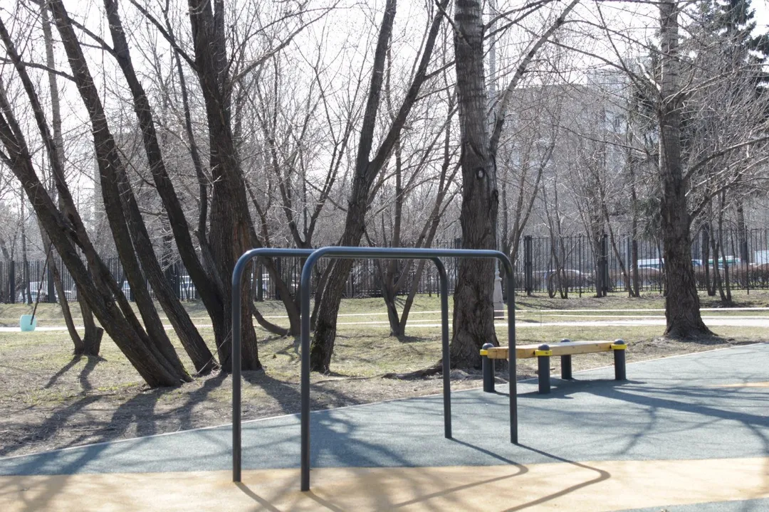 Monkey bar presso Calisthenics Park at проспект Андропова, Москва – foto 3 di 14