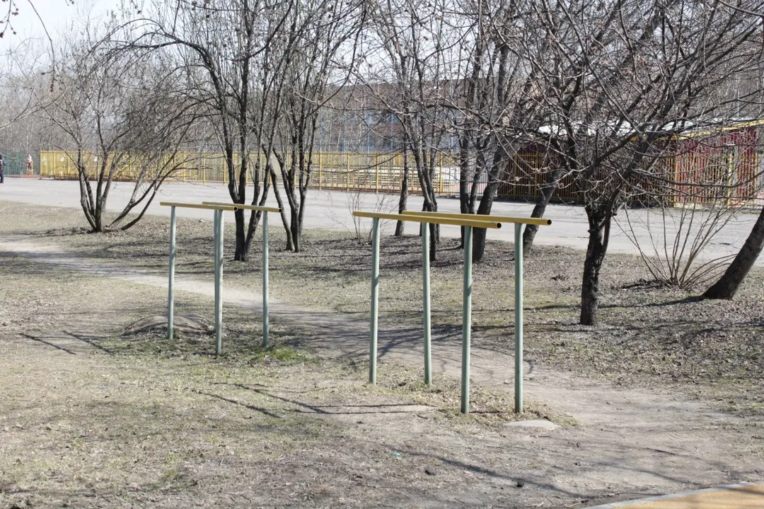 Sbarra per trazioni presso Calisthenics Park at проспект Андропова, Москва – foto 13 di 14