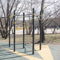 Calisthenics Park at проспект Андропова, Москва - thumbnail 6