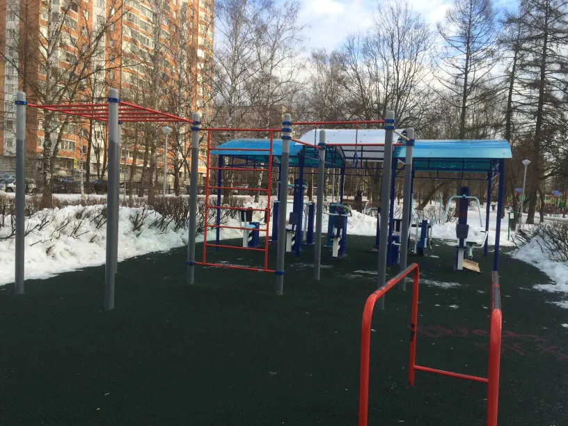 Wall Bars at Calisthenics Park at Черноморский бульвар, Москва – photo 4 of 6