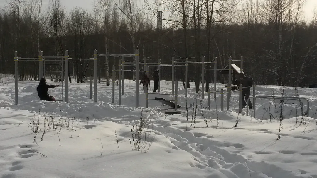 Bare paralele la Calisthenics Park at Битцевский проезд, Москва – fotografia 2 din 2