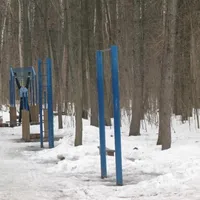 Calisthenics Park at Волоколамское шоссе, Москва - thumbnail 1