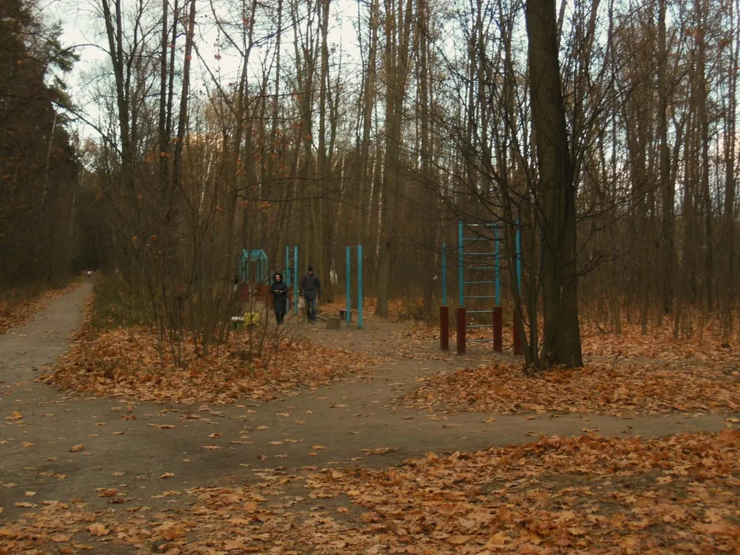 Barras Paralelas en Calisthenics Park at Волоколамское шоссе, Москва – foto 2 de 2