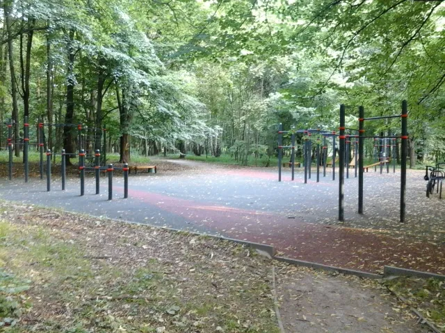 Бруси на майданчику Calisthenics Park at улица Олений Вал, Москва – фото 2 з 3