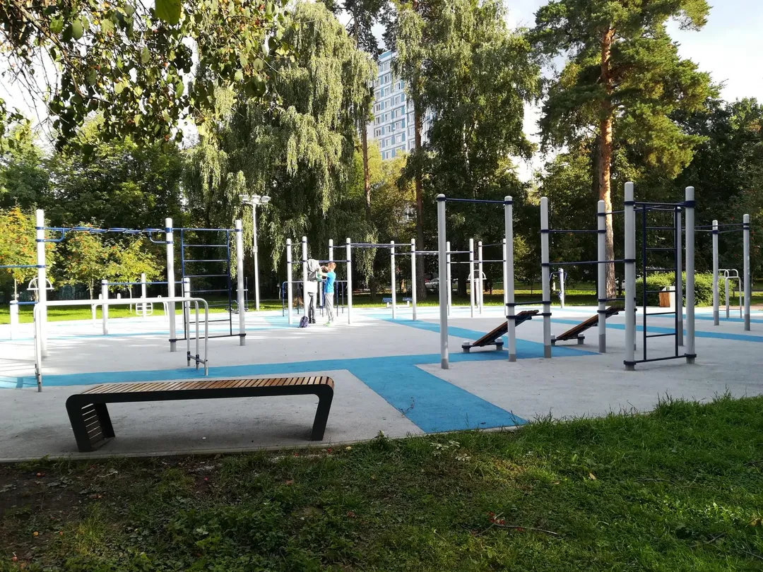 Monkey Bars la Calisthenics Park at Стартовая улица, Москва – fotografia 4 din 4