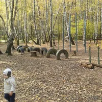 Calisthenics Park at Медик, Москва - thumbnail 2