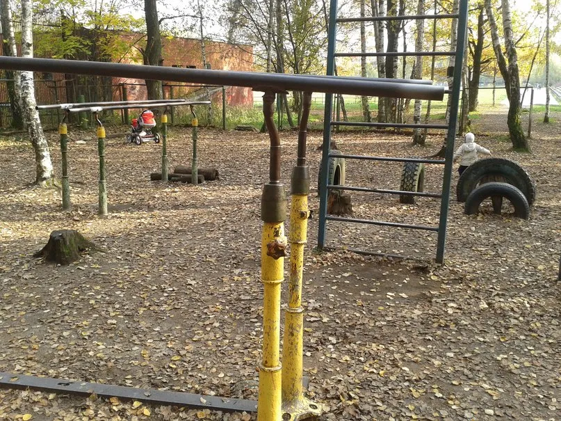 Barres de singe à Calisthenics Park at Медик, Москва – photo 3 sur 3