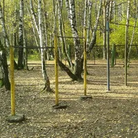 Calisthenics Park at Медик, Москва - thumbnail 1