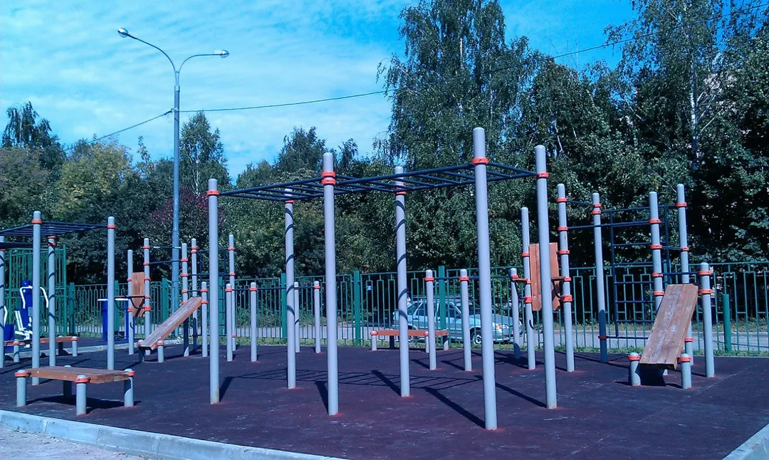 Barres de singe à Calisthenics Park at улица Вилиса Лациса, Москва – photo 3 sur 5