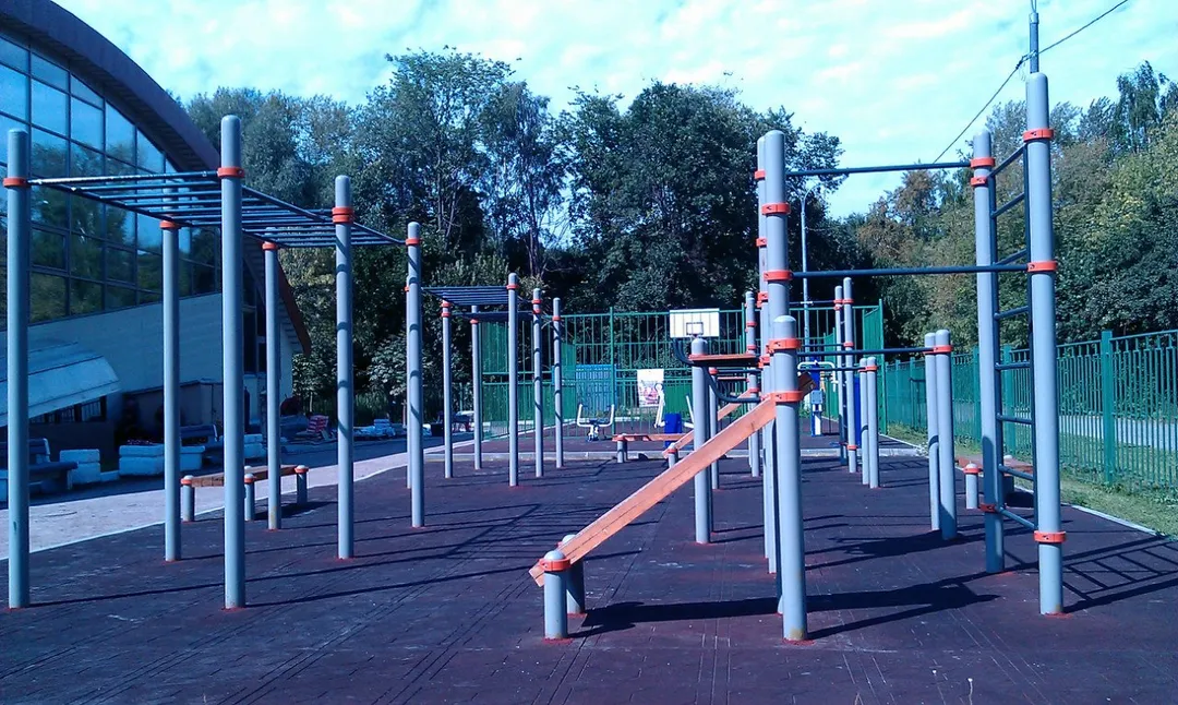 Espalier à Calisthenics Park at улица Вилиса Лациса, Москва – photo 4 sur 5