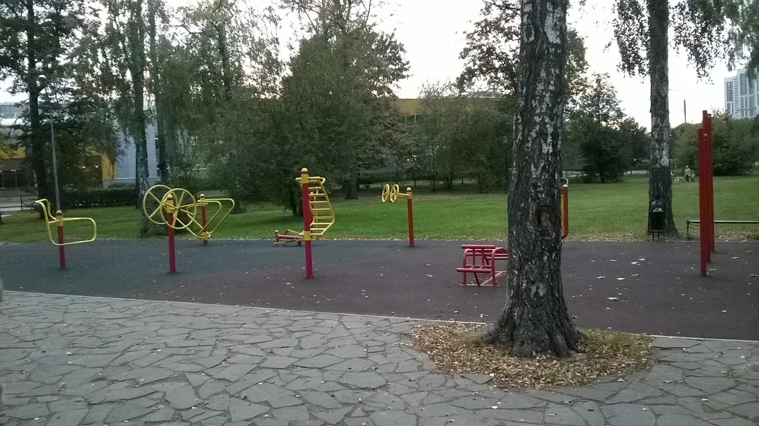 Bară de tracțiuni la Calisthenics Park at Большая Черкизовская улица, Москва #wp1501 – fotografia 1 din 6