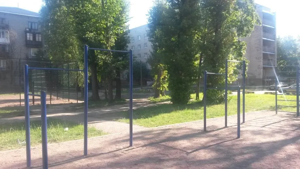 Wall Bars at Calisthenics Park at проспект Непокорённых, Санкт-Петербург – photo 4 of 5