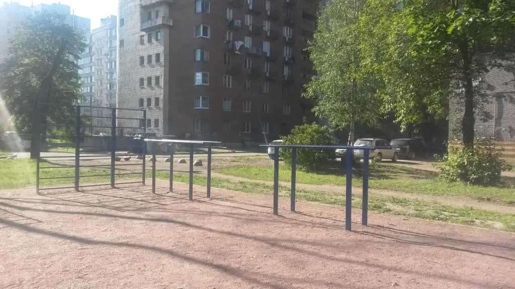 Pull Up Bar at Calisthenics Park at проспект Непокорённых, Санкт-Петербург – photo 1 of 5