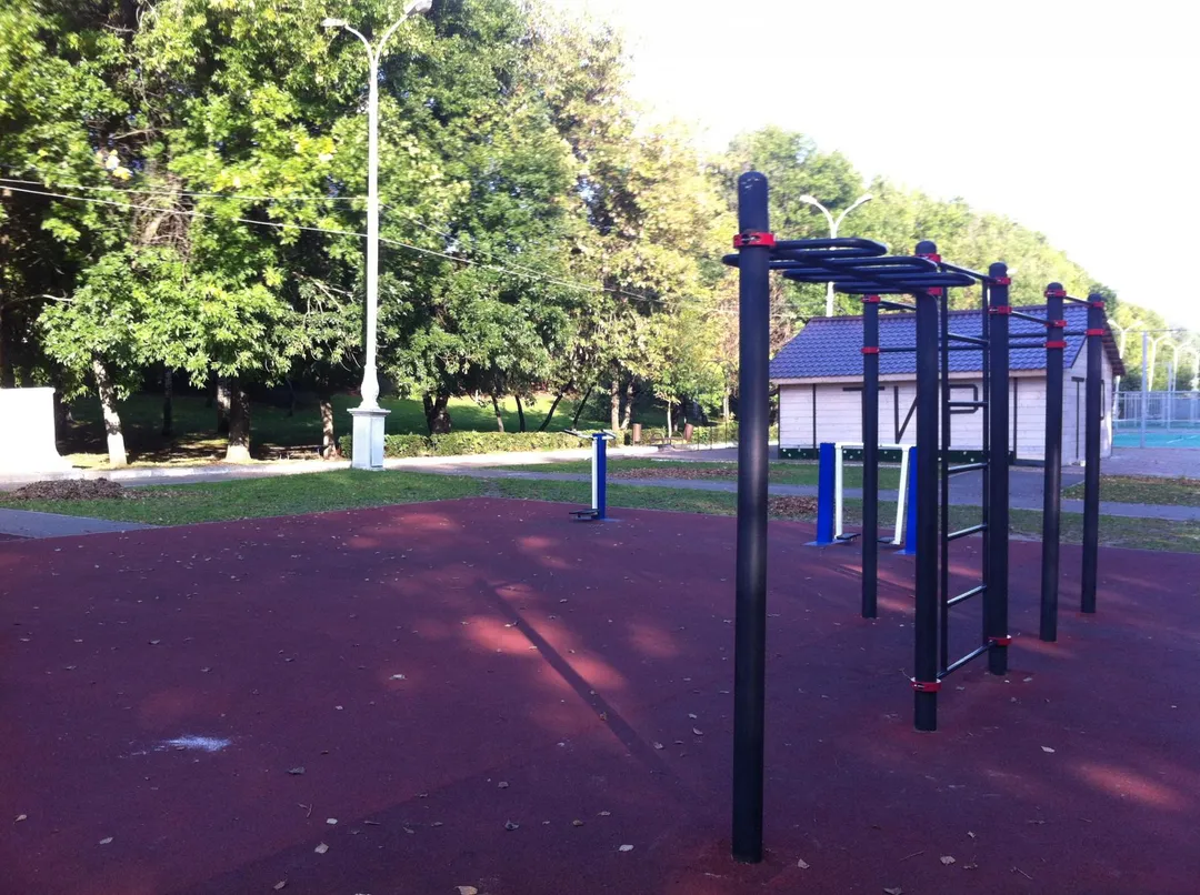 Air walker presso Calisthenics Park at набережная Афанасия Никитина, городской округ Тверь – foto 6 di 6